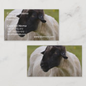 Schwarzes stellte Schafe gegenüber Visitenkarte (Vorne/Hinten)