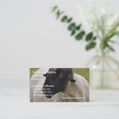 Schwarzes stellte Schafe gegenüber Visitenkarte (Stehend Vorderseite)