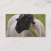 Schwarzes stellte Schafe gegenüber Visitenkarte (Rückseite)