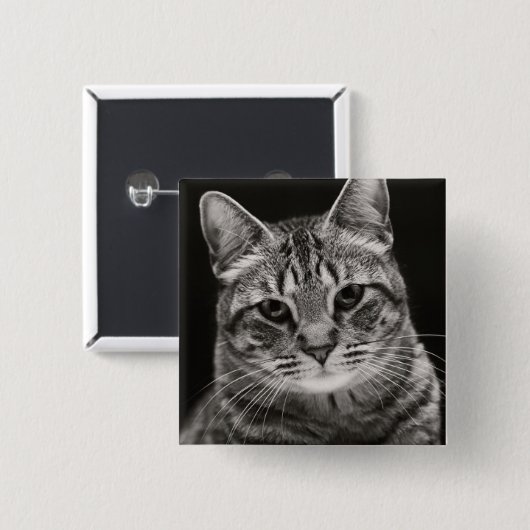 Schwarzes Tabby-Kätzchen Button (Vorne & Hinten)