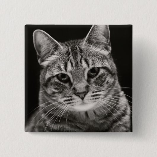 Schwarzes Tabby-Kätzchen Button (Vorderseite)