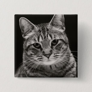 Schwarzes Tabby-Kätzchen Button