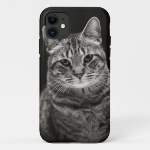 Schwarzes Tabby-Kätzchen Case-Mate iPhone Hülle