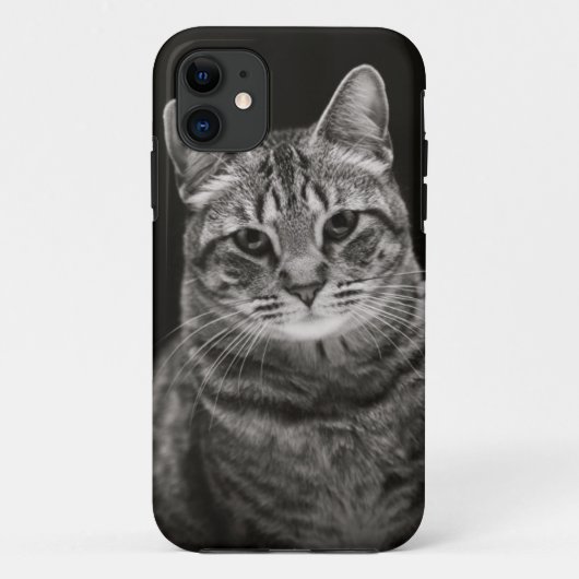 Schwarzes Tabby-Kätzchen Case-Mate iPhone Hülle (Rückseite)