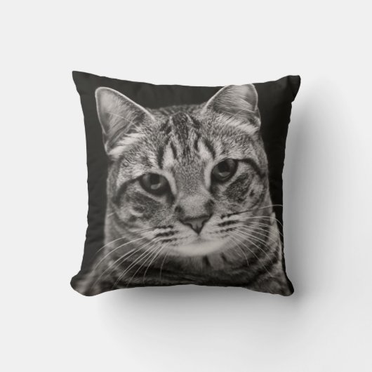 Schwarzes Tabby-Kätzchen Kissen (Vorderseite)