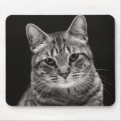 Schwarzes Tabby-Kätzchen Mousepad (Vorne)