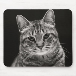 Schwarzes Tabby-Kätzchen Mousepad