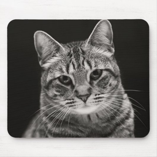 Schwarzes Tabby-Kätzchen Mousepad (Vorne)