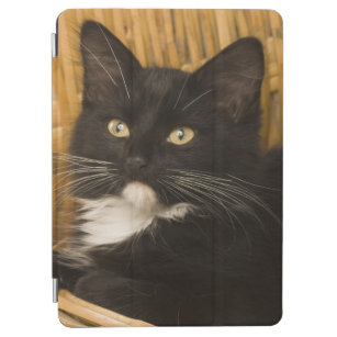 Schwarzes u. weißes kurzhaariges Kätzchen auf iPad Air Hülle