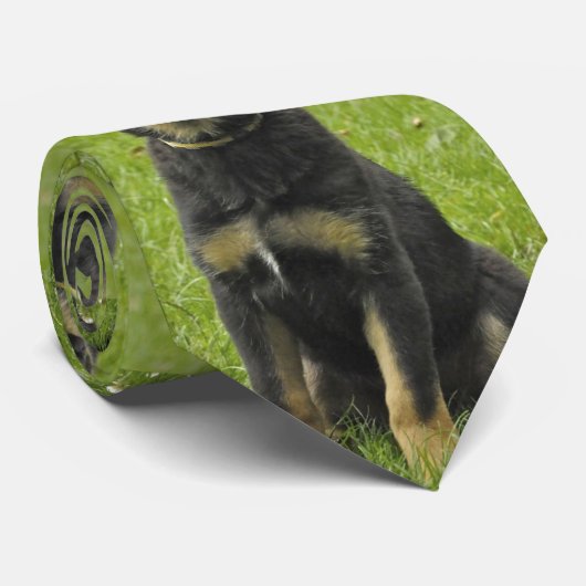 Schwarzes u. Welpe TANs GSD Krawatte (Gerollt)