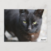 Schwarzes Übersichtsbild mit Motivierend Zitat Postkarte (Rückseite)