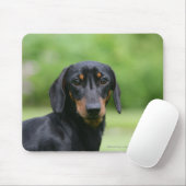 Schwarzes und Dackel 1 TANs Miniture Mousepad (Mit Mouse)