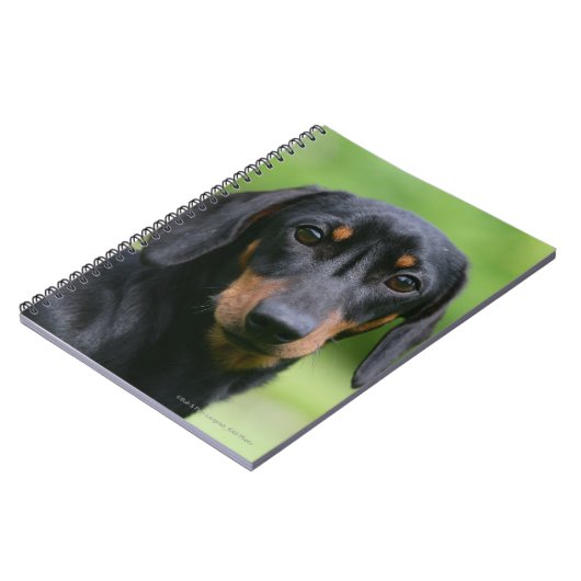 Schwarzes und Dackel 1 TANs Miniture Notizblock (Linke Seite)