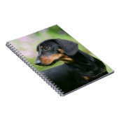 Schwarzes und Dackel 2 TANs Miniture Notizblock (Rechte Seite)