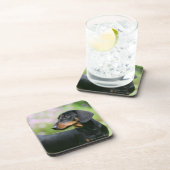 Schwarzes und Dackel 2 TANs Miniture Untersetzer (Rechte Seite)