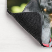 Schwarzes und Dackel 3 TANs Miniture Mousepad (Ecke)