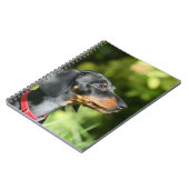 Schwarzes und Dackel 3 TANs Miniture Notizblock (Linke Seite)