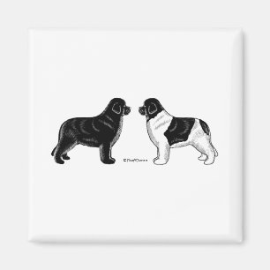 Schwarzes und Landseer Neufundland Hunde Magnet