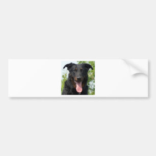 schwarzes und tan Beauceron.png Autoaufkleber