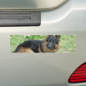 Schwarzes und TAN-Elsässer Autoaufkleber (Auf Auto)