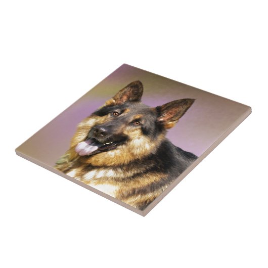 Schwarzes und TAN GSD Fliese (Seite)