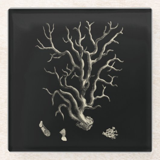 Schwarzes und TAN-Koralle Glasuntersetzer (Vorderseite)