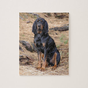Schwarzes und TANcoonhound-Hund Puzzle