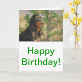 Schwarzes und TANCoonhound Karte (Gelbe Blume)