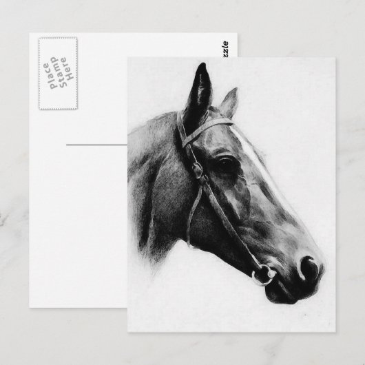 Schwarzes und Weiß Postkarte (Vorne/Hinten)