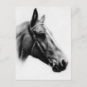 Schwarzes und Weiß Postkarte (Vorderseite)