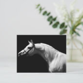 Schwarzes und Weiß Postkarte (Stehend Vorderseite)
