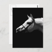 Schwarzes und Weiß Postkarte (Vorne/Hinten)