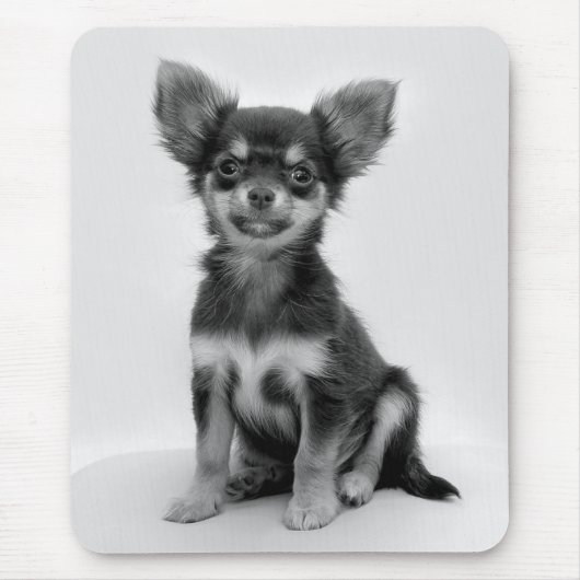 Schwarzes und weißes Chihuahua-Welpe-Foto Mousepad (Vorne)