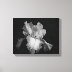Schwarzes und weißes Iris-Monochrome Foto Leinwanddruck