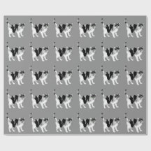 SCHWARZES UND WEISSES KATZPATTERPAPIERpapier