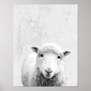 Schwarzes und weißes Peekaboo Minimalistisches Kin Poster