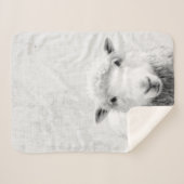 Schwarzes und weißes Peekaboo Minimalistisches Kin Sherpadecke (Vorderseite (Horizontal))