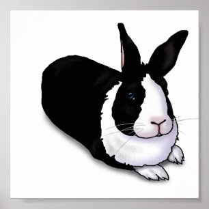 Schwarzes und weißes Rabbit Poster