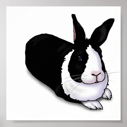 Schwarzes und weißes Rabbit Poster (Vorne)