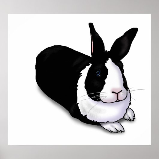 Schwarzes und weißes Rabbit Poster (Vorne)