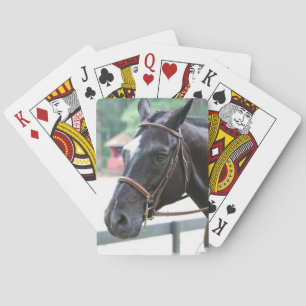 Schwarzes Warmblut-Kartenspiel Spielkarten