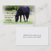 Schwarzes weiden lassendes Pferd Visitenkarte (Vorne/Hinten)