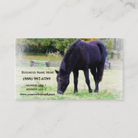 Schwarzes weiden lassendes Pferd Visitenkarte (Vorderseite)