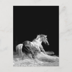 Schwarzes & Weiß Pferd in Aktion Postkarte