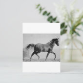 Schwarzes & Weiß Wanderpferd Postkarte (Stehend Vorderseite)