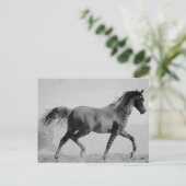 Schwarzes & Weiß Wanderpferd Postkarte (Stehend Vorderseite)