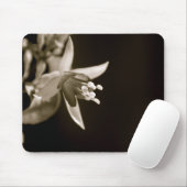 Schwarzes/weißes Fuschia Mousepad (Mit Mouse)