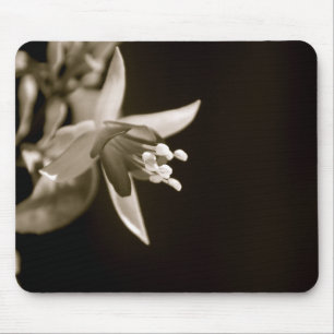 Schwarzes/weißes Fuschia Mousepad
