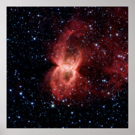 Schwarzes Widow-Nebel-Poster Poster