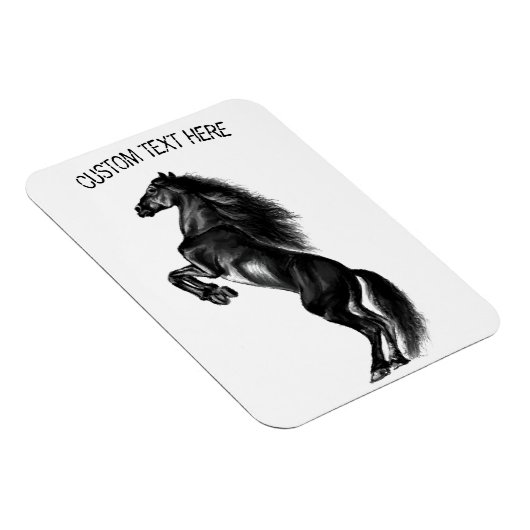 Schwarzes Wildpferd Magnet (Rechte Seite)